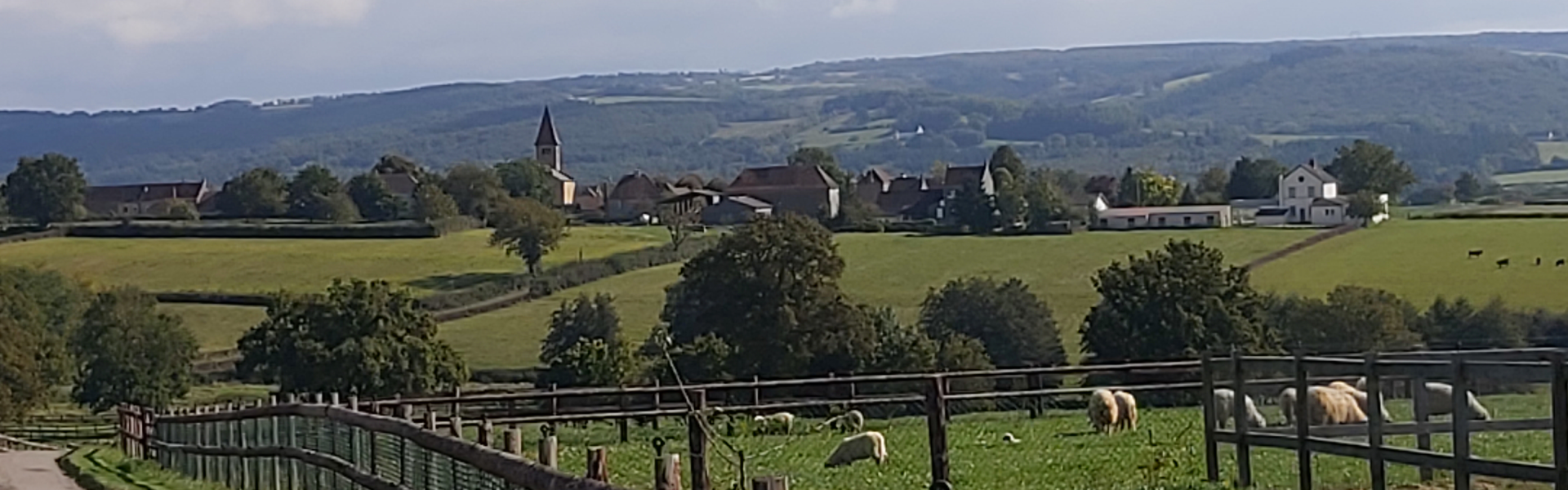 Banniere Commune de Saint Jean de Trézy